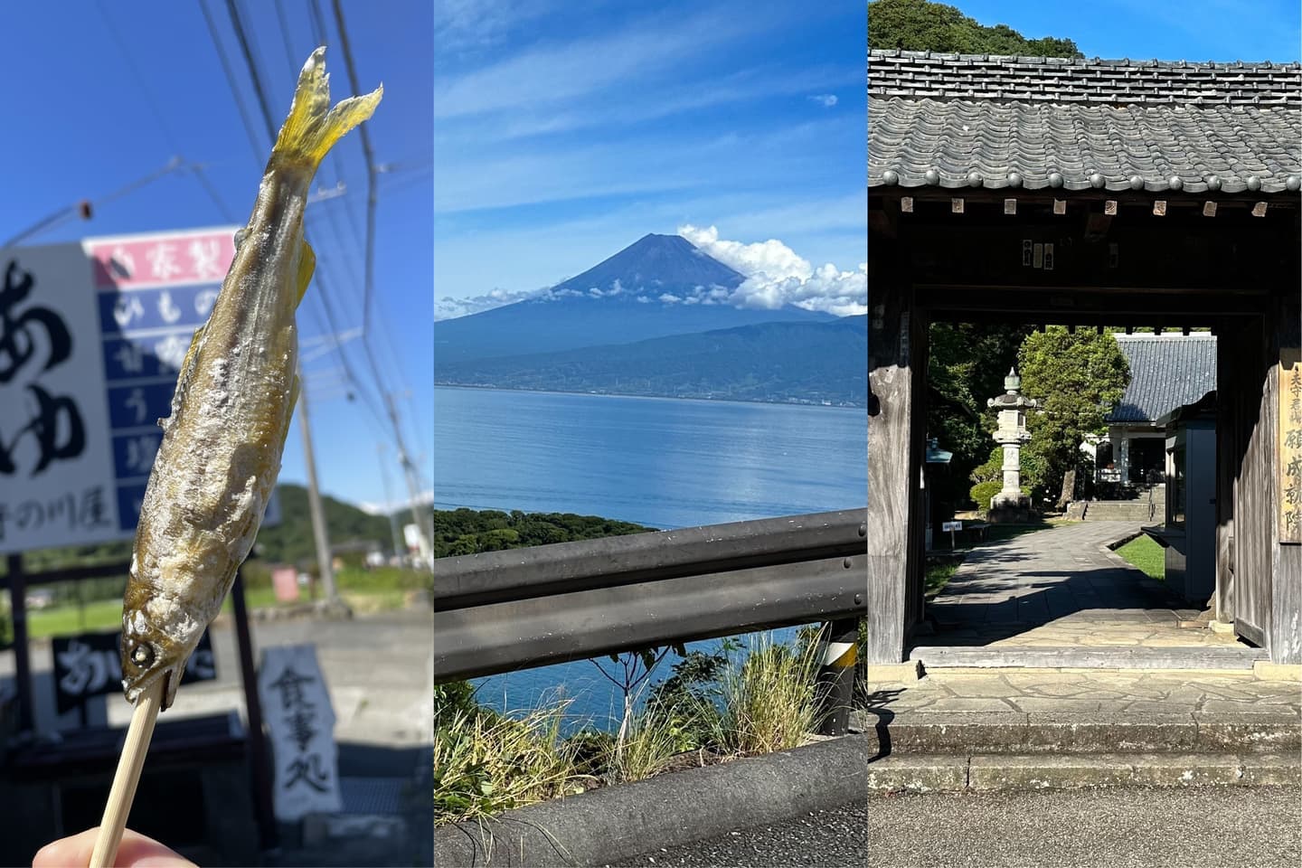 伊豆狩野川ガイドサイクリングツアー