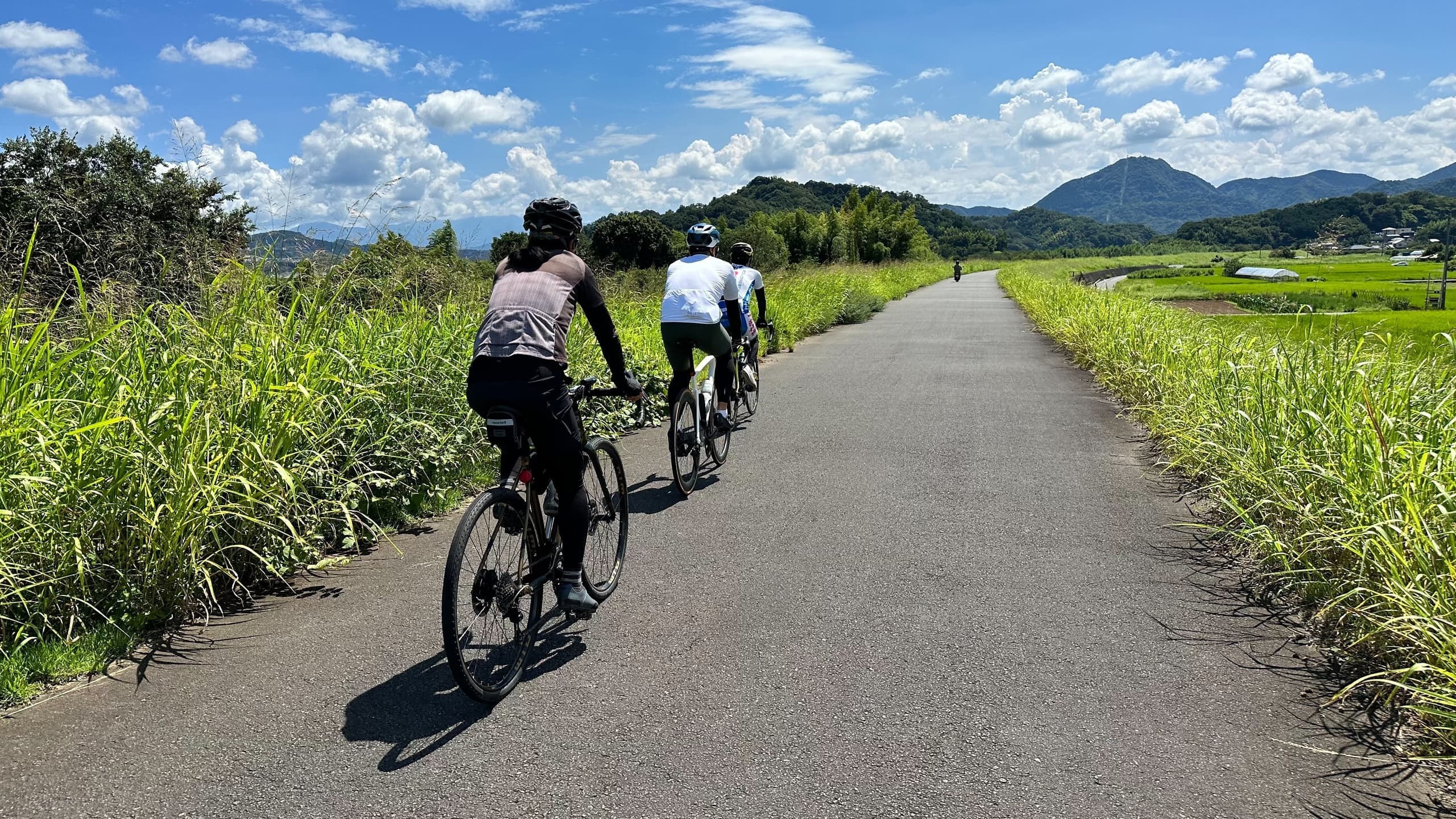 伊豆狩野川の堤防でサイクリング